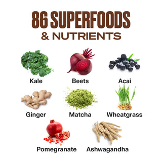 VitaHustle ONE Superfood Protein - 15 Servings - VitaHustle.com - Kevin Hart